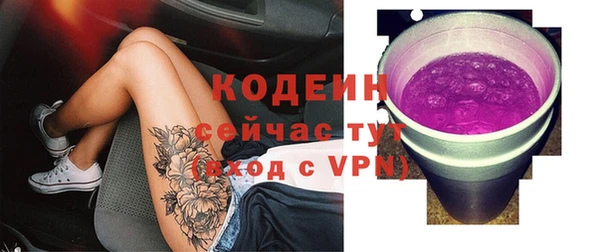спиды Няндома